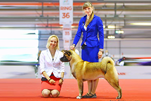 11-14.06.15 WDS'15 Milano  9 mom - exc in Junior class at WDS